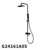 G24161