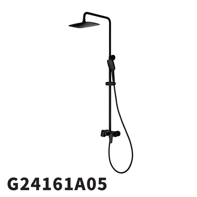 G24161